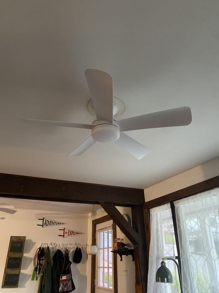 Ceiling Fan Replacement