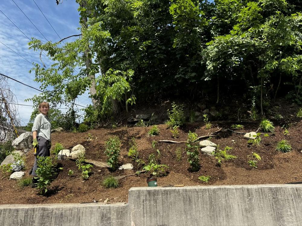 Native Pollinator Garden — Foundry Montessori
