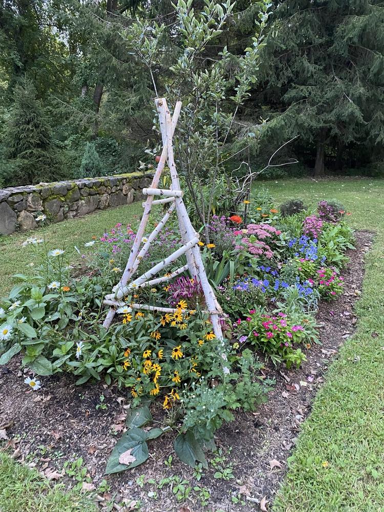 Garden Design & Install