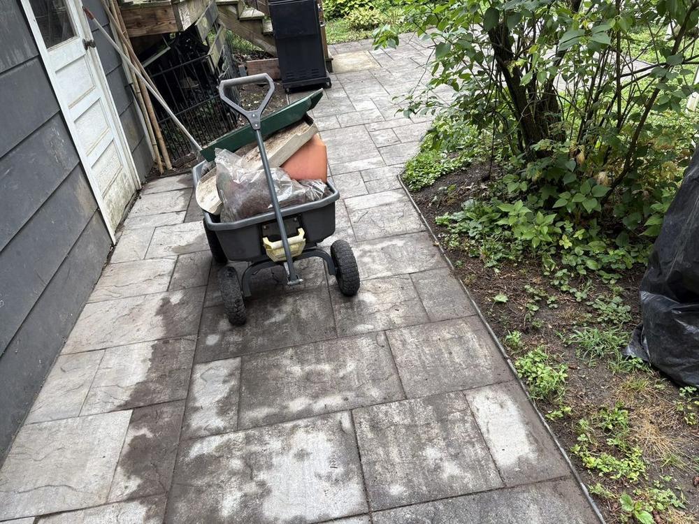 Patio Cleanup