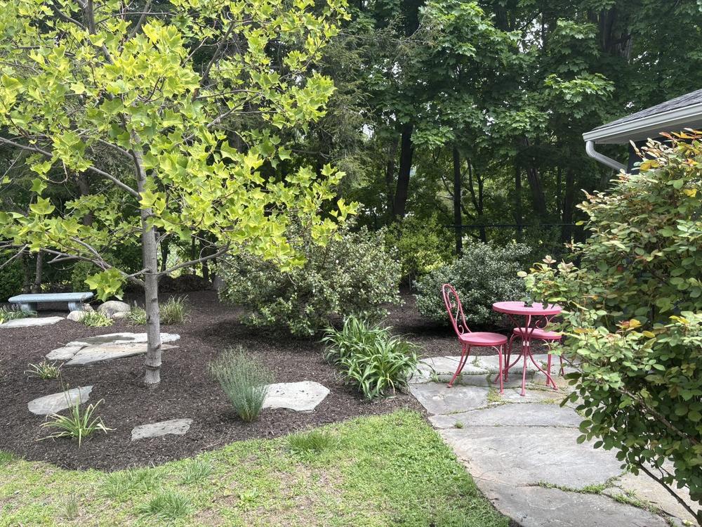 Spring Yard Cleanup