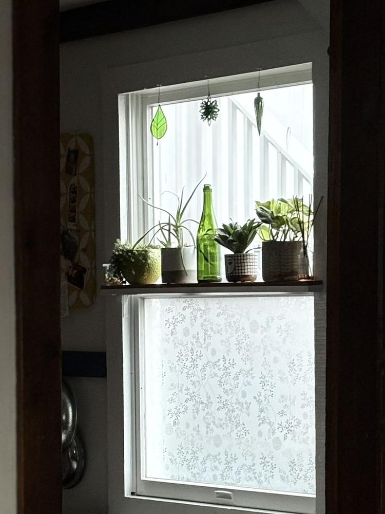 Custom Window Shelf